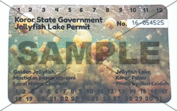 Jelly fosh lake permit images